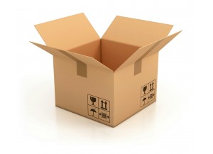 Hộp carton thường